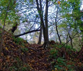 DSC_2623_DxO